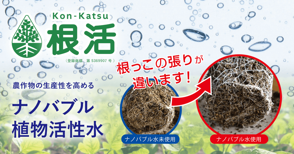 農作物の生産性を高める ナノバブル 植物活性水